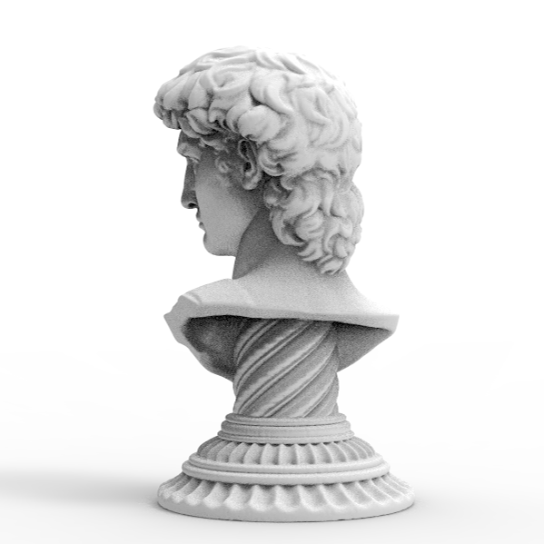 Bust of Michelangelo's David in metal