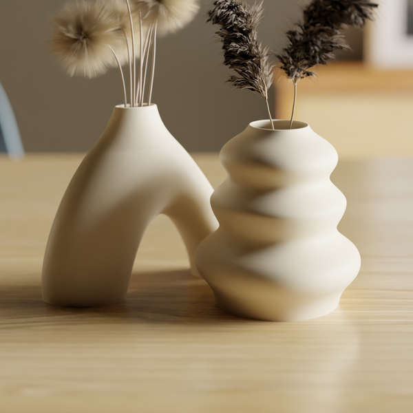 Continuing Elegance: Duo Vase Set