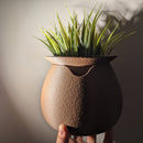 AquaFlora: Self Watering Planter