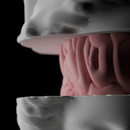 Insight Unveiled: Athena Textured model