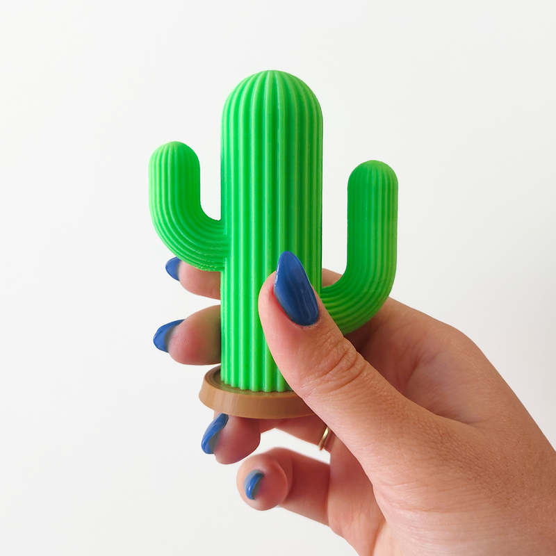 Cactus Toothpick Holder (Cactus)
