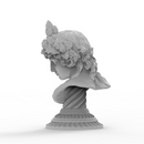 Anamorphic Antinous as Dionysus