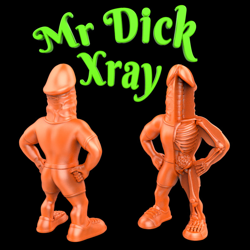 Mr Dick XXRay