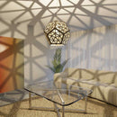 Platonic Forest Lamp Shade