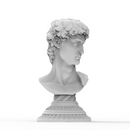 Anamorphic Bust of Michelangelo's David