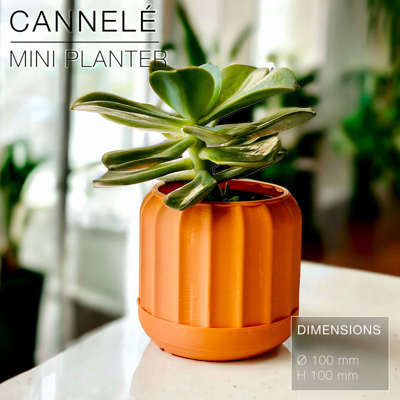 CANNELÉ | Mini Planter