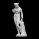 Venus with the Apple - Poster