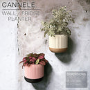 CANNELÉ | Wall/fridge Planter