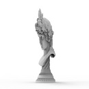 Anamorphic Antinous as Dionysus