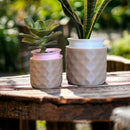 WABI  |  Self-watering Planter