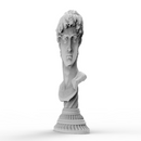 Anamorphic Bust of Michelangelo's David