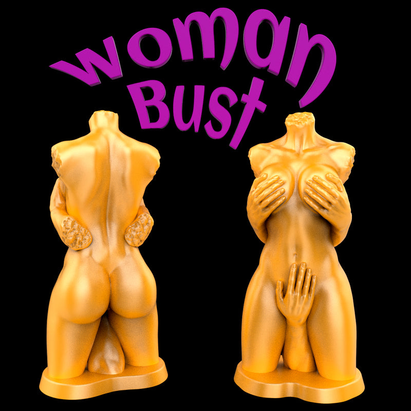 Sexy Woman Bust