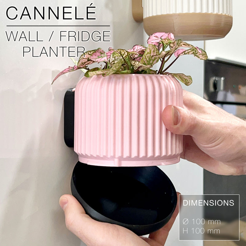 CANNELÉ | Wall/fridge Planter