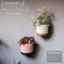 CANNELÉ | Wall/fridge Planter