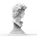 Bust of Michelangelo's David