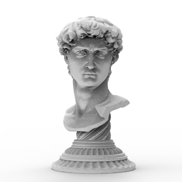 Bust of Michelangelo's David