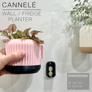 CANNELÉ | Wall/fridge Planter
