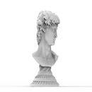 Anamorphic Bust of Michelangelo's David