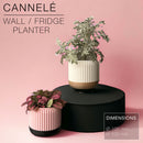 CANNELÉ | Wall/fridge Planter