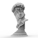 Pinwheel Bust of David