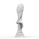 Anamorphic Bust of Michelangelo's David