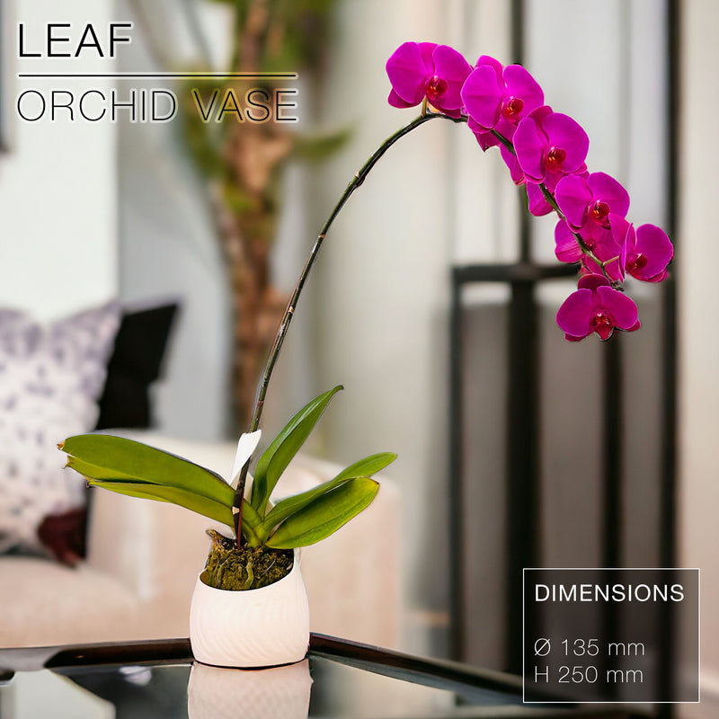 LEAF | Orchid Vase Planter
