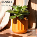 CANNELÉ | Mini Planter