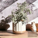 CANNELÉ | Mini Planter
