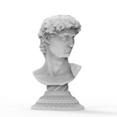 Anamorphic Bust of Michelangelo's David