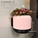 CANNELÉ | Wall/fridge Planter