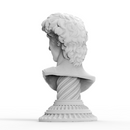 Anamorphic Bust of Michelangelo's David