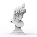 Anamorphic Antinous as Dionysus