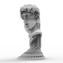 Pinwheel Bust of David