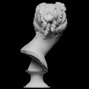 Venus Italica (Bust)