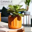 CANNELÉ | Mini Planter