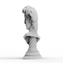 Anamorphic Bust of Michelangelo's David