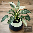 PISA | Self-Watering Planter