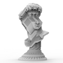 Pinwheel Bust of David