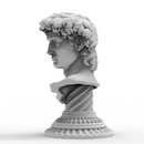 Bust of Michelangelo's David
