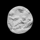 Taddei Tondo - Poster