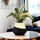 PISA | Self-Watering Planter