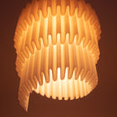 Unfurling Ripple Lampshade