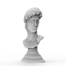 Anamorphic Bust of Michelangelo's David