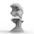 Pinwheel Bust of David