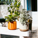 CANNELÉ | Mini Planter